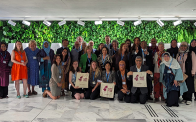 Report dal Congresso OMS sul Codice Internazionale di Adriano Cattaneo e Sofia Quintero Romero